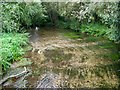 River Wylye, Codford St Mary