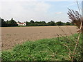 Field between Church Lane and the B1150 road