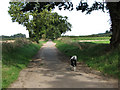 Walking north towards Beeston Lane