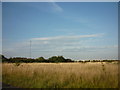 Looking towards a mast from Pyewipe, Grimsby