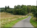 Winding road towards Holmhead