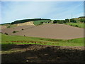 Farmland at Pitmenzies