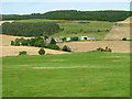 Grassland at Pitmenzies