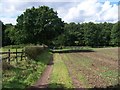 Footpath Near Etching Hill