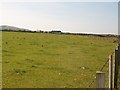 View across grazing land towards Towyn Farm