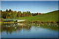 Bridge over lake at New Bold Green