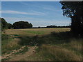 Bridleway junction near Ileden Cottages