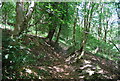 Footpath climbing up onto Bramshott Common