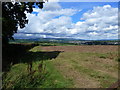 Field and tree shadow, near Pen-y-lan