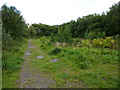 Footpath between Livingstone Road and Whinney Hill Road