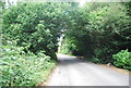 Hammer Lane looking north