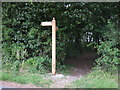 North Downs Way enters Dyson Hall Wood