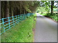 Fence by the roadside