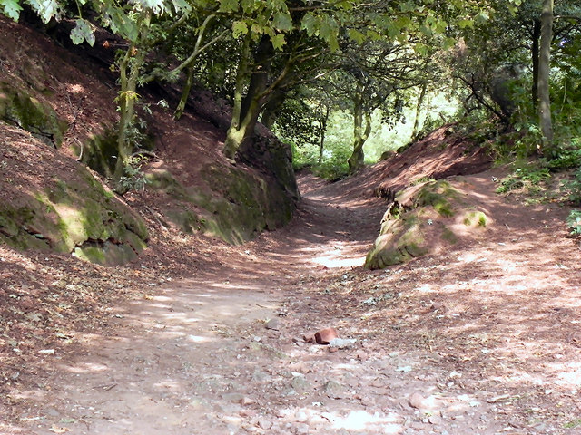 Woodland Path, Beeston Castle