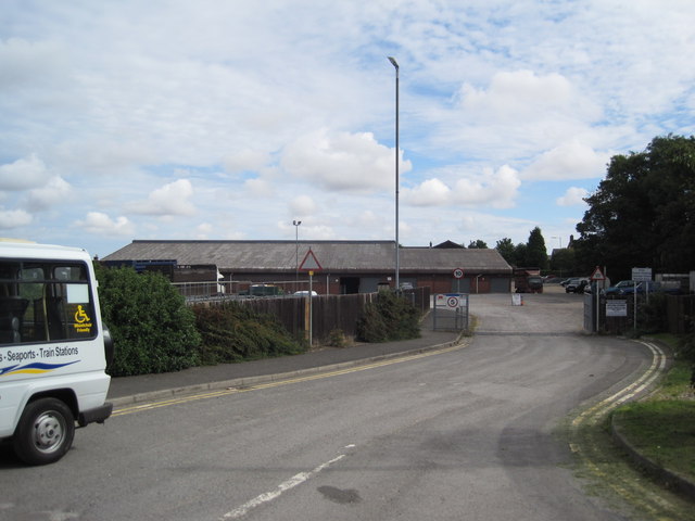 Cattle Market