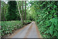 Footpath north to Grayshott