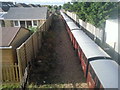 Train passing under Derville Road bridge