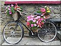 C2221 : Old bike, Ramelton by Kenneth  Allen