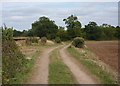 Country track near Woodsetts