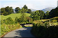 NY3700 : Road at Low Wray, Cumbria by Peter Trimming