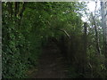 The North Downs Way heading towards Patrixbourne