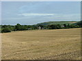 Stubble field at Grange of Lindores