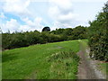 Footpath off the Himley Road