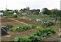 Allotments in Oakham