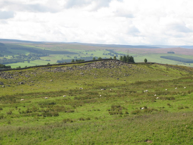 (Another) rock outcrop on Thorngrafton... © Mike Quinn :: Geograph ...