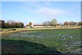 Haslar Lake at low tide (1)