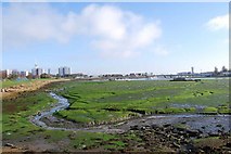 SZ6199 : Haslar Lake at low tide (2) by Barry Shimmon