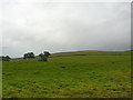 Pasture west of Lingber