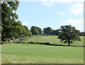 2010 : Fields on Ledge Hill opposite West Park Farm