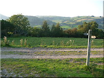 SO2581 : Fingerpost on Offa's Dyke Path by Jeremy Bolwell