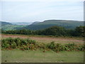 Bracken cleared off the slopes of Hergest Hill