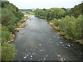 The River Wye below Hay Bridge