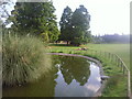 Pond in Hither Green Cemetery