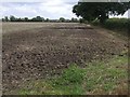 Arable field view