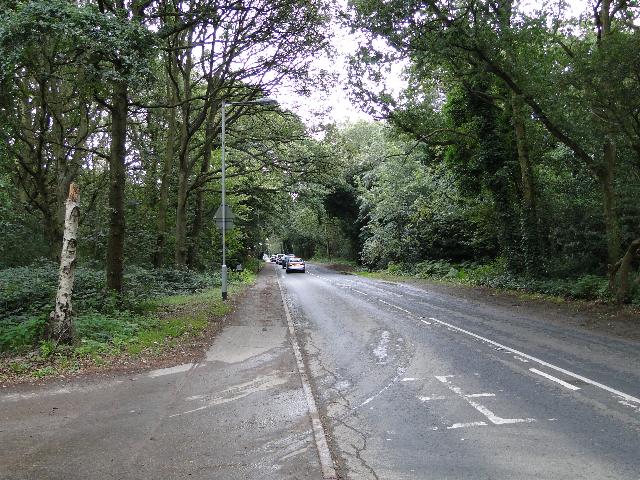 Gurney Road, looking towards Heartsease Lane, Norwich