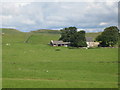 Farmland around East Crindledykes