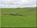 Farmland between Morwood and East Crindledykes