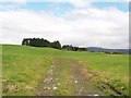 Track into silage field. Barncaughla in distance