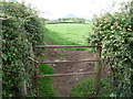 Gate in the hedge