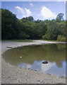 Humber Bridge Country Park pond