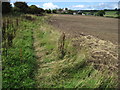 Footpath towards Cliffe Farm