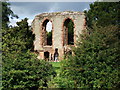 Remains of Caludon Castle, Wyken