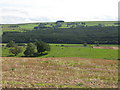 Farmland east of Hardriding