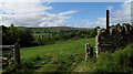 Gateway to grassed field near Frosterley