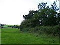 Footpath near Duntish