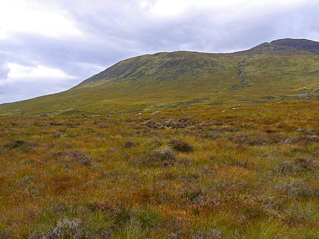 Moorland and bog